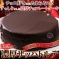 濃厚 ザッハトルテ ケーキ チョコレートケーキ　冷凍便A