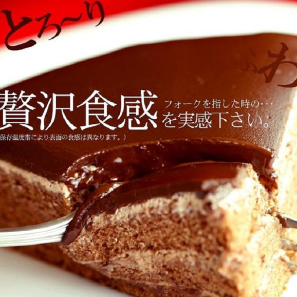 ザッハトルテ ケーキ チョコレートケーキ　送料無料/冷凍便03