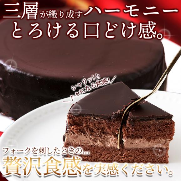 濃厚 ザッハトルテ ケーキ チョコレートケーキ　冷凍便A05