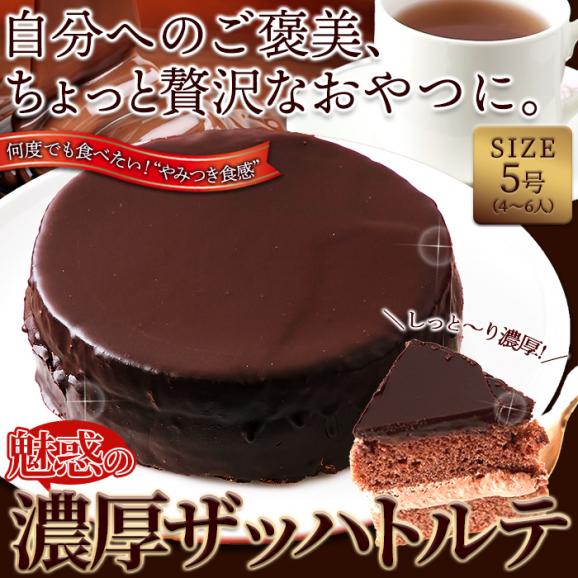 濃厚 ザッハトルテ ケーキ チョコレートケーキ　冷凍便A06