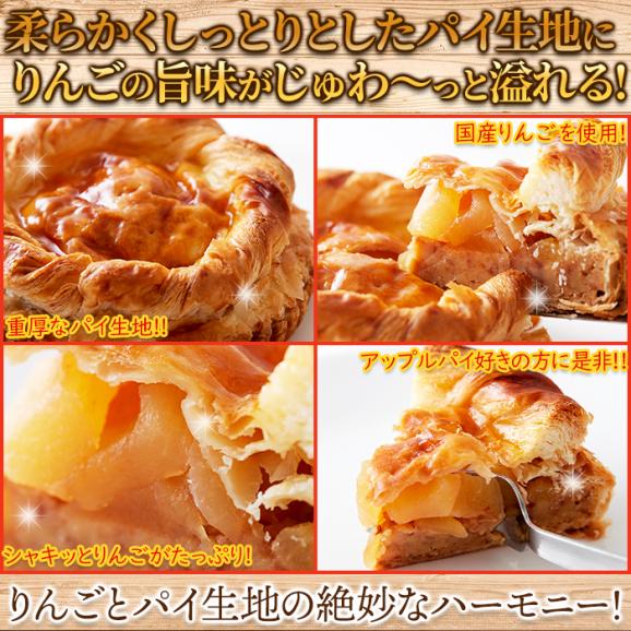 絶品★たっぷりりんご!!アップルパイ５号/ケーキ/冷凍A05