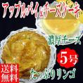 りんごたっぷ!アップルパイと濃厚チーズケーキの人気セット/5号/ケーキ/冷凍A