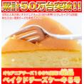 絶品ベイクド チーズケーキ 5号/ケーキ/チーズ/冷凍A
