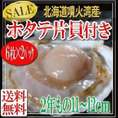 北海道噴火湾産ほたて片貝2年11-12cm/片貝12枚/函館冷凍