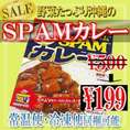 ＳＰＡＭカレー/レトルトカレー/スパム/スパムカレー/カレー/常温便/冷凍A