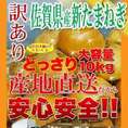 訳あり☆佐賀県産新たまねぎどっさり10kg/常温便