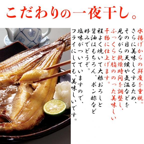 北海道羅臼産/干し具合/塩加減とも最高の開きほっけ大 2枚入り/ホッケ/干し魚/冷凍A04