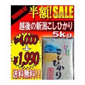 越後の獅子米!!新潟コシヒカリ大容量５ｋｇ/小湊文隆さんのコシヒカリ/低農薬土作り農法/真空包装/コシヒカリ/常温産直/同梱不可