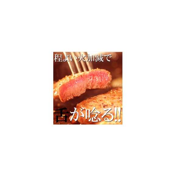 飛騨牛A５等級ヒレステーキ100ｇ5枚/シャトーブリアン/牛/ステーキ/送料無料/冷蔵02