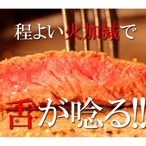 飛騨牛A５等級ランプステーキ100g×5枚/ステーキ/送料無料/冷蔵04