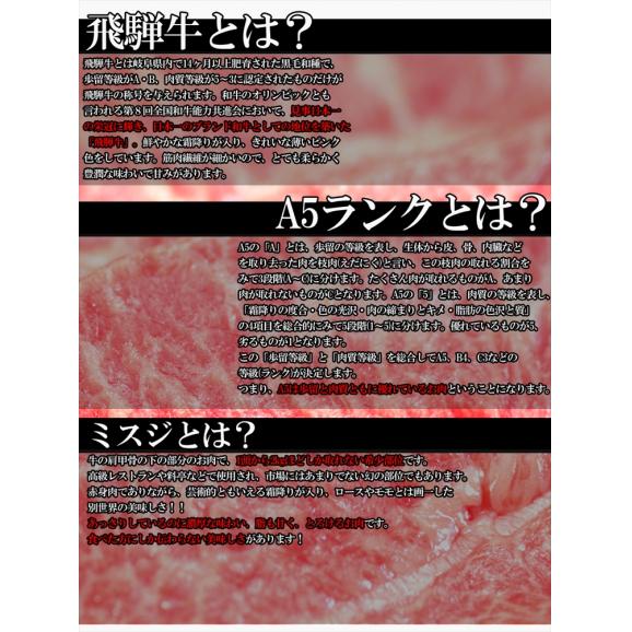 飛騨牛A５等級幻のミスジステーキ100g×5枚/ステーキ/送料無料/冷蔵05