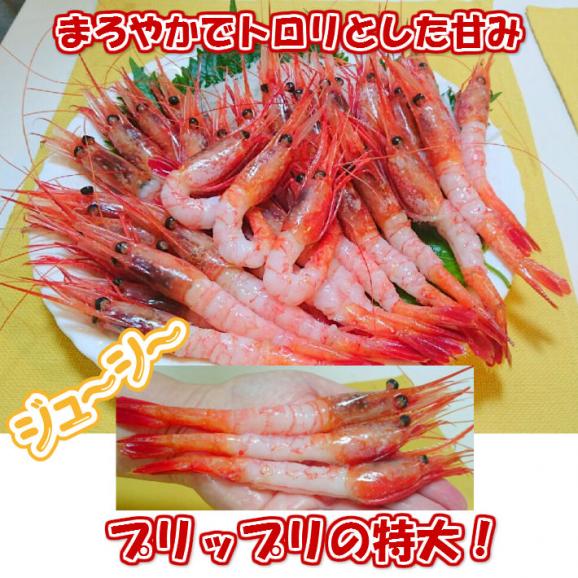 超超超特大！3L甘えびお刺身用(約1キロ)45尾&plusmn;5尾/アマエビ/甘海老/えび/送料無料/海老/冷凍Ａ03