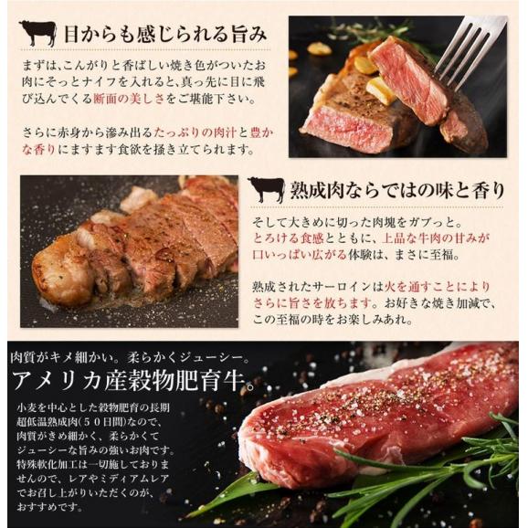 熟成牛サーロインステーキ200ｇ3枚/サーロインステーキ/サーロイン/牛/ステーキ/送料無料/冷凍A03