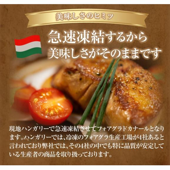 【送料無料】最高峰フォアグラ ド カナール 約400-500ｇ/冷凍A02