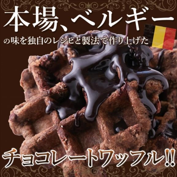 【訳あり】チョコ ベルギーワッフル 1k チョコチップ入り 個包装 送料無料 常温便02