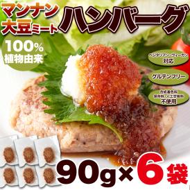100％植物由来の新感覚 90g×6袋 ハンバーグ !!マンナン大豆 ミートハンバーグ ネコポス