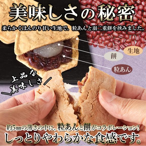 もちもちあんサンド（旧花友禅） 10個入薄い生地で お餅 と 粒あん を挟んだ上品な 和菓子 !!  羽二重餅 ネコポス04