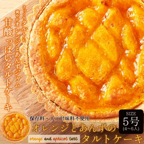 オレンジ と あんず の タルト ケーキ5号 甘酸っぱい味わいと香ばしいタルト生地が絶妙!!ネコポス01