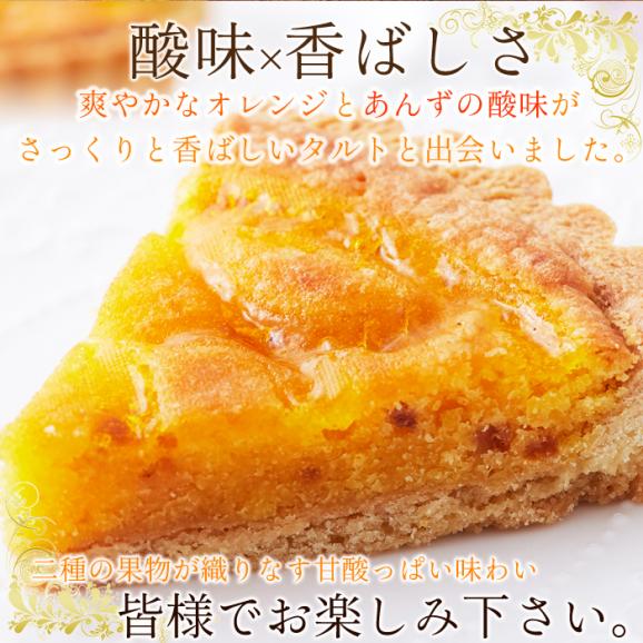 オレンジ と あんず の タルト ケーキ5号 甘酸っぱい味わいと香ばしいタルト生地が絶妙!!ネコポス02