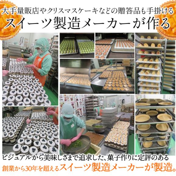 オレンジ と あんず の タルト ケーキ5号 甘酸っぱい味わいと香ばしいタルト生地が絶妙!!ネコポス04