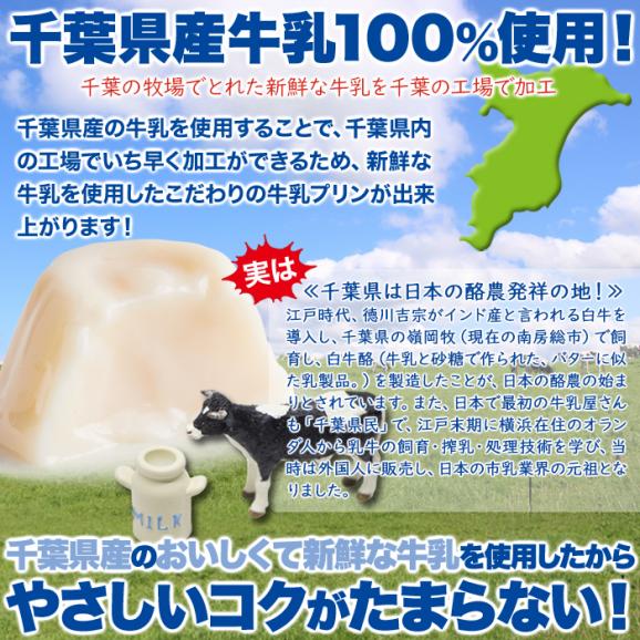 【お徳用】ぷるんと濃厚☆ひとくち 牛乳プリン 40個 牛乳 プリン 常温便04