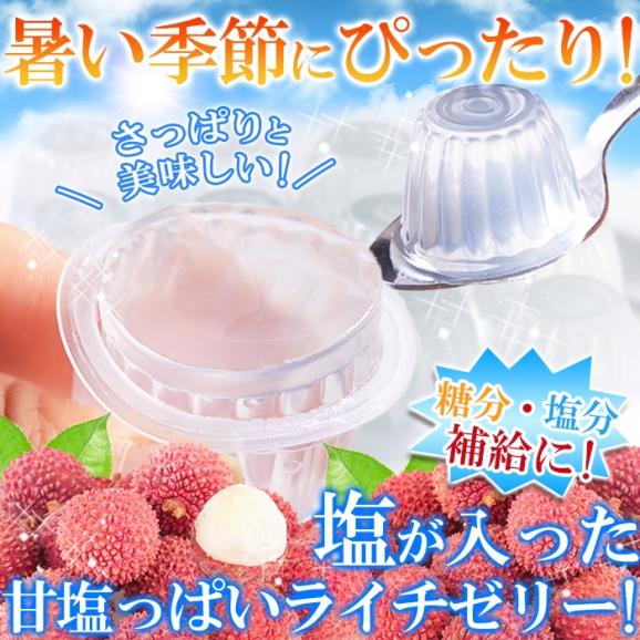 ソルティライチゼリー 大容量50個入り ソルティ ライチ ゼリー