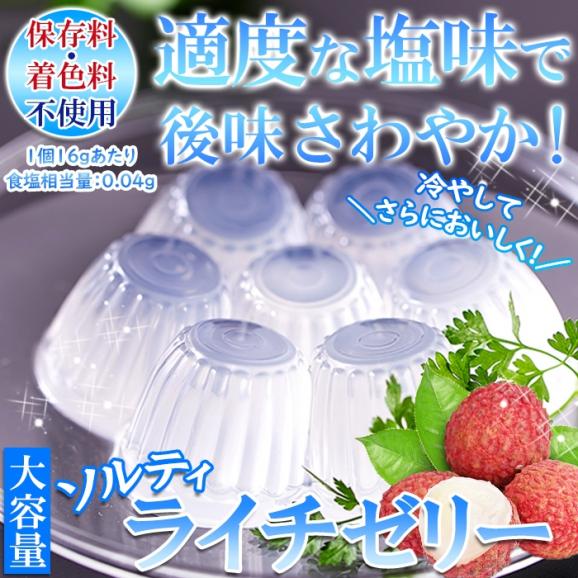 ソルティライチゼリー 大容量50個入り ソルティ ライチ ゼリー 暑い季節にさっぱり美味しい!!常温便03