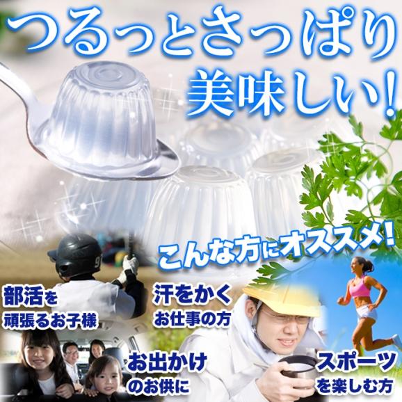 ソルティライチゼリー 大容量50個入り ソルティ ライチ ゼリー 暑い季節にさっぱり美味しい!!常温便04