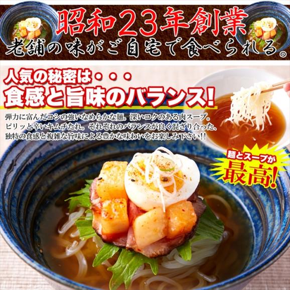 本場名産品!!老舗の盛岡冷麺 ４食スープ付き（100ｇ×4袋 盛岡 冷麺 ゆうパケット04