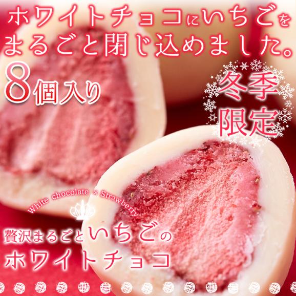 贅沢まるごと いちご の ホワイトチョコ チョコ いちごチョコ 約