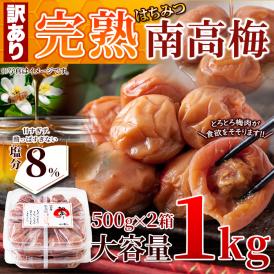 賞味期限2026年5月19日の為、超特価！！南高梅の美味しさがギュッと詰まった!!【訳あり】はちみつ南高梅1kg(500g×2箱）