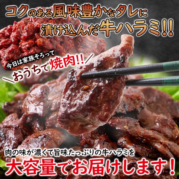 大容量 牛ハラミ こく醤油味1kg コクのある風味豊かなタレ漬け はらみ ハラミ 牛肉 冷凍A02