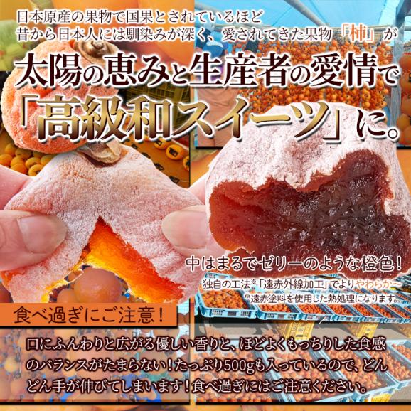 ふっくら しっとり♪長野県産 訳あり 干し柿 500g 干柿 ほしがき ほし柿 干しがき メール便05