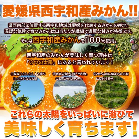 皮むき不要で食べやすくシャリっと美味しい!!【訳アリ】皮むき冷凍みかん500g 冷凍A04