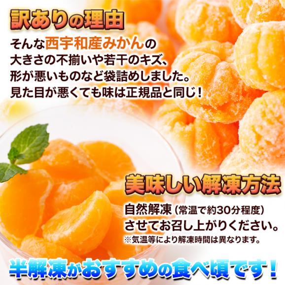 皮むき不要で食べやすくシャリっと美味しい!!【訳アリ】皮むき冷凍みかん500g 冷凍A05