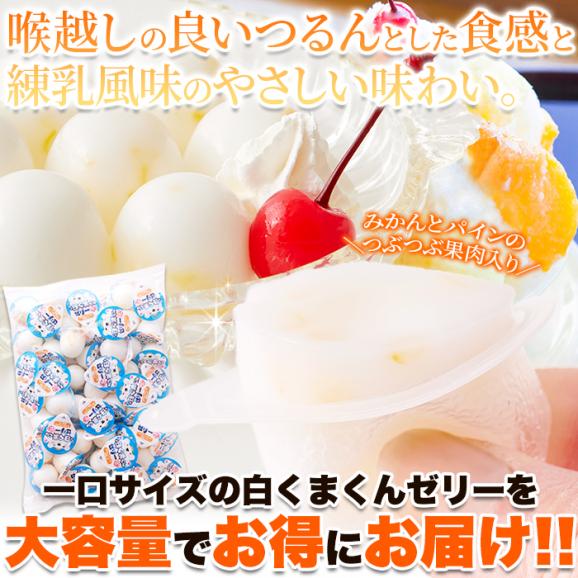 【お徳用】プチ 白くまくん ゼリー 50個 練乳風味のやさしい味わい 常温便02