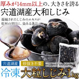 宍道湖産 大粒 しじみ 冷凍1kg獲れたてを急速冷凍！身が大きくてプリプリ！冷凍A