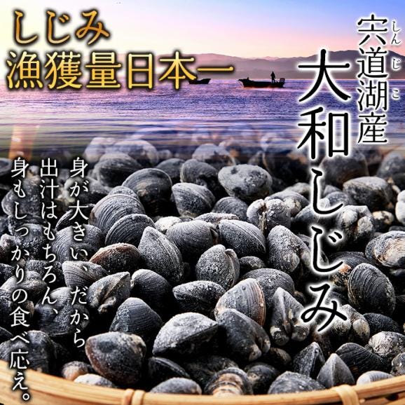 宍道湖産 大粒 しじみ 冷凍1kg獲れたてを急速冷凍！身が大きくてプリプリ！冷凍A02