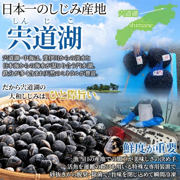 宍道湖産 大粒 しじみ 冷凍1kg獲れたてを急速冷凍！身が大きくてプリプリ！冷凍A04