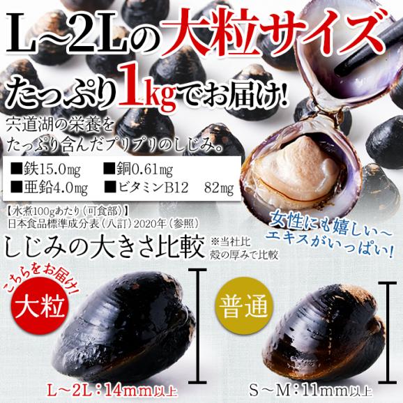 宍道湖産 大粒 しじみ 冷凍1kg獲れたてを急速冷凍！身が大きくてプリプリ！冷凍A05