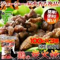 日向屋 鶏炭火焼 100g 3袋セット 日向屋オリジナル塩胡椒 にんにく ローストオニオン で味付け炭火焼 メール便