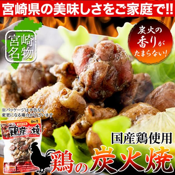 日向屋 鶏炭火焼 100g 3袋セット 日向屋オリジナル塩胡椒 にんにく ローストオニオン で味付け炭火焼 メール便03