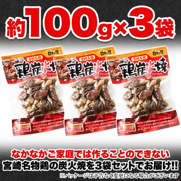 日向屋 鶏炭火焼 100g 3袋セット 日向屋オリジナル塩胡椒 にんにく ローストオニオン で味付け炭火焼 メール便04