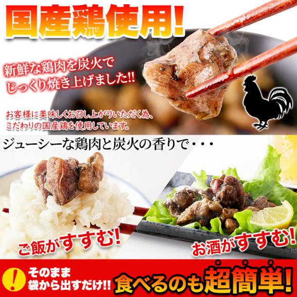 日向屋 鶏炭火焼 100g 3袋セット 日向屋オリジナル塩胡椒 にんにく ローストオニオン で味付け炭火焼 メール便05