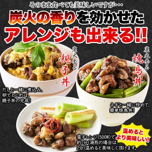 日向屋 鶏炭火焼 100g 3袋セット 日向屋オリジナル塩胡椒 にんにく ローストオニオン で味付け炭火焼 メール便06