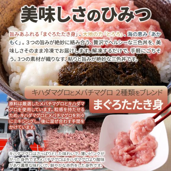 手軽で美味しい！3色丼(まぐろたたき身、とろろ、あかもく)各5食セット 解凍して乗せるだけ！ 冷凍A05