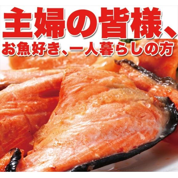 脂がのってふっくら絶品!!【訳あり】紅鮭切り落としどっさり１キロパック！！(定塩/未加熱品)/冷凍A03