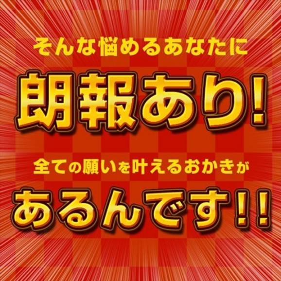 訳あり 割れおかきミックス 580g (290g&times;2) お菓子 スイーツ おつまみ おやつ 常温便04