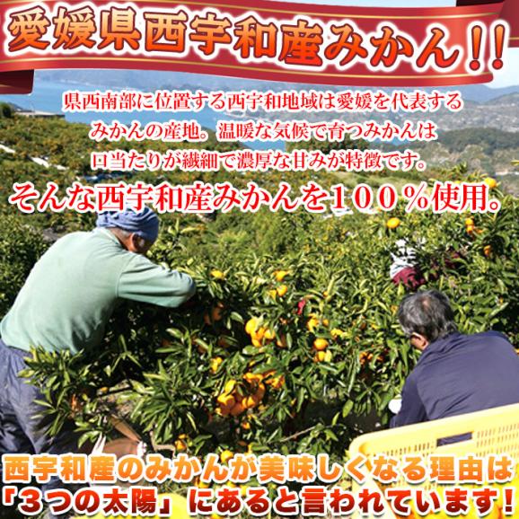 愛媛県西宇和産 みかん 100%使用!!えひめのあまーい 冷凍みかん どっさり15個(5個入×3袋・約700~800g) 冷凍A04