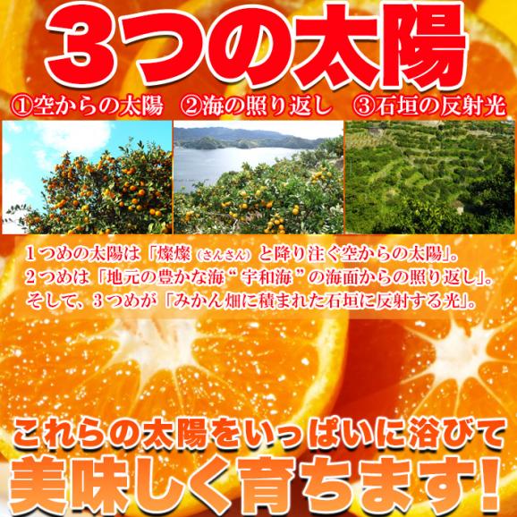 愛媛県西宇和産 みかん 100%使用!!えひめのあまーい 冷凍みかん どっさり15個(5個入×3袋・約700~800g) 冷凍A05